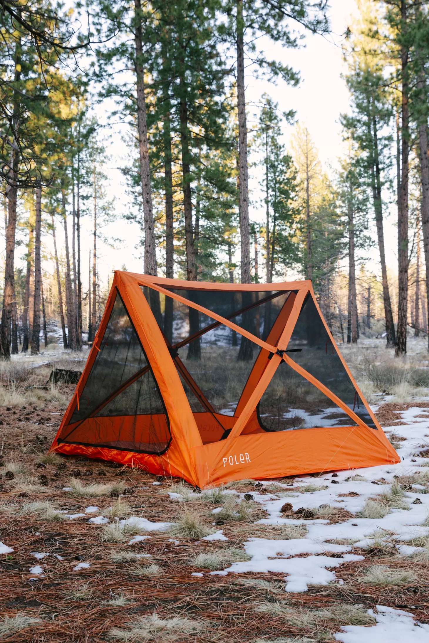 Sale 4 Person Tent Tents