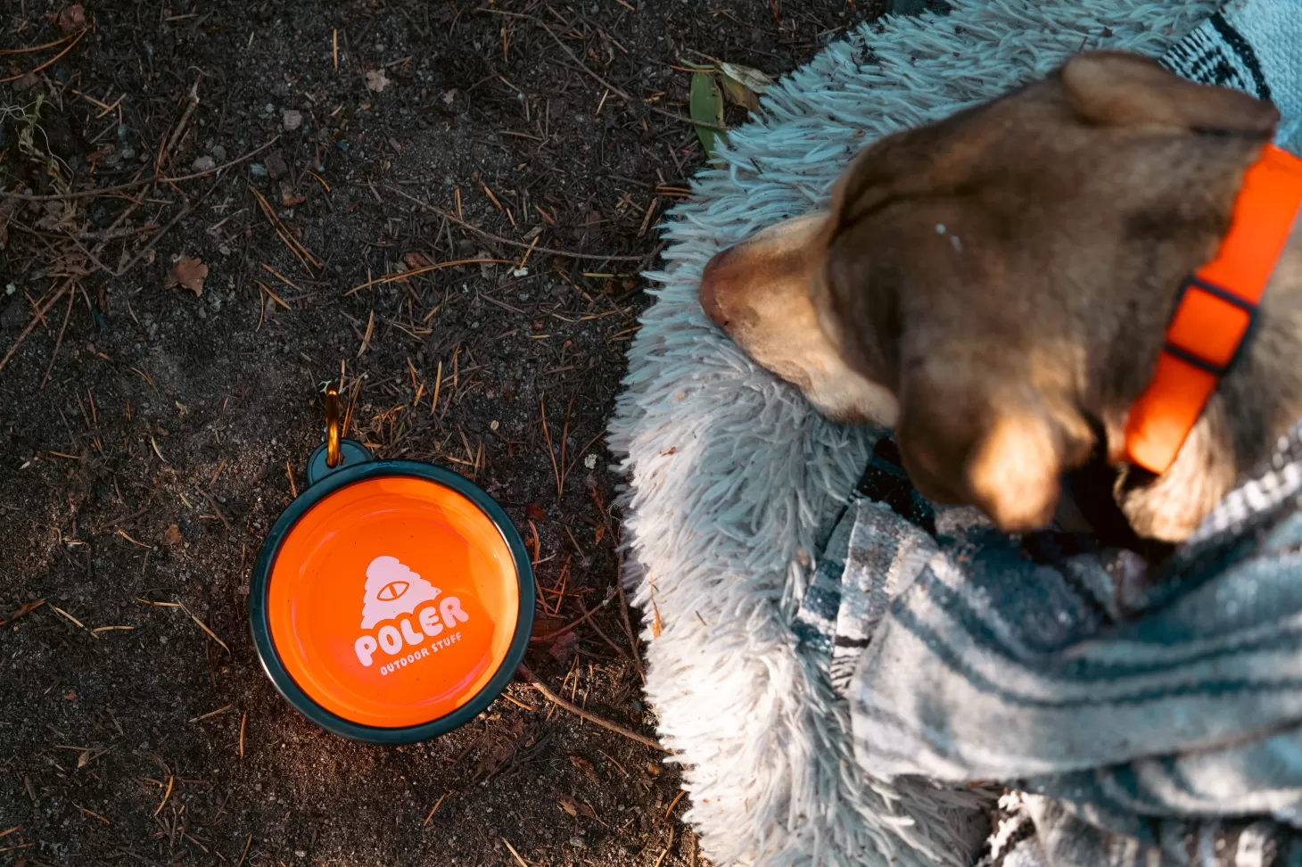 Outlet Silicone Bowl Camp Accessories